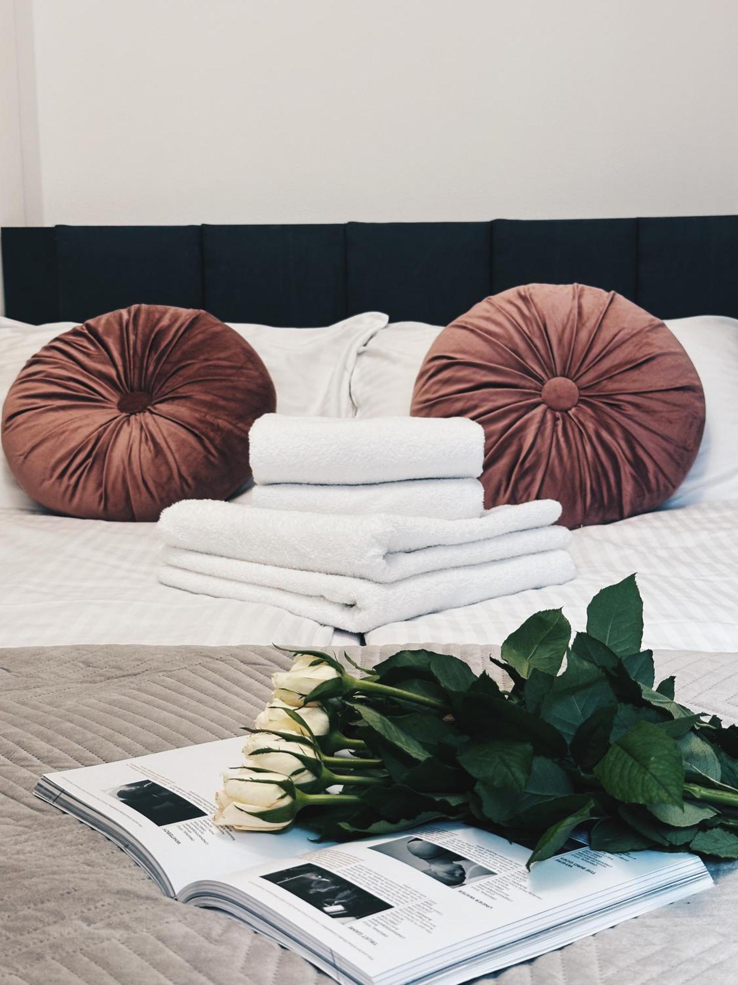 Soft Loft Apartamenty Torun Ngoại thất bức ảnh